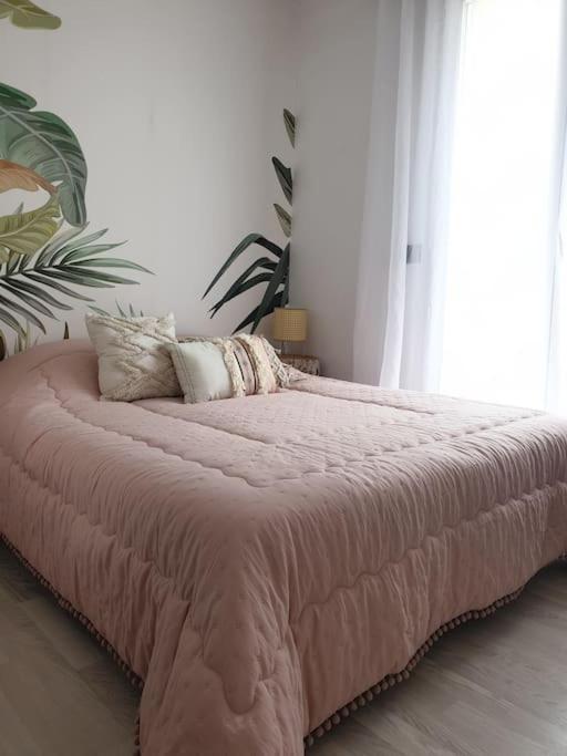 Anglet Biarritz Appartement Avec Piscine المظهر الخارجي الصورة